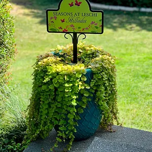  Apartment Seasons At Leschi Hillsides United States
